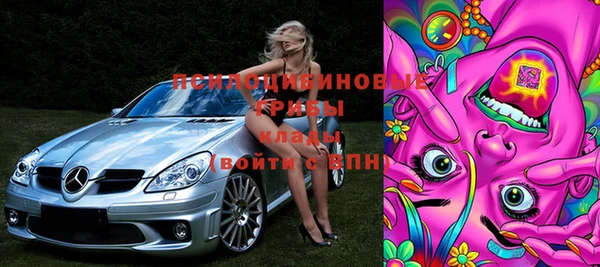 ешки Инсар
