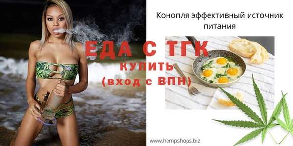 спайс Инта