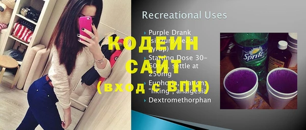 ешки Инсар