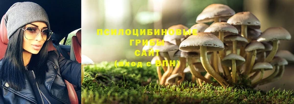 ешки Инсар