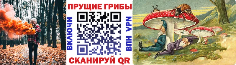 Псилоцибиновые грибы мухоморы  блэк спрут как войти  Колпашево  закладка 